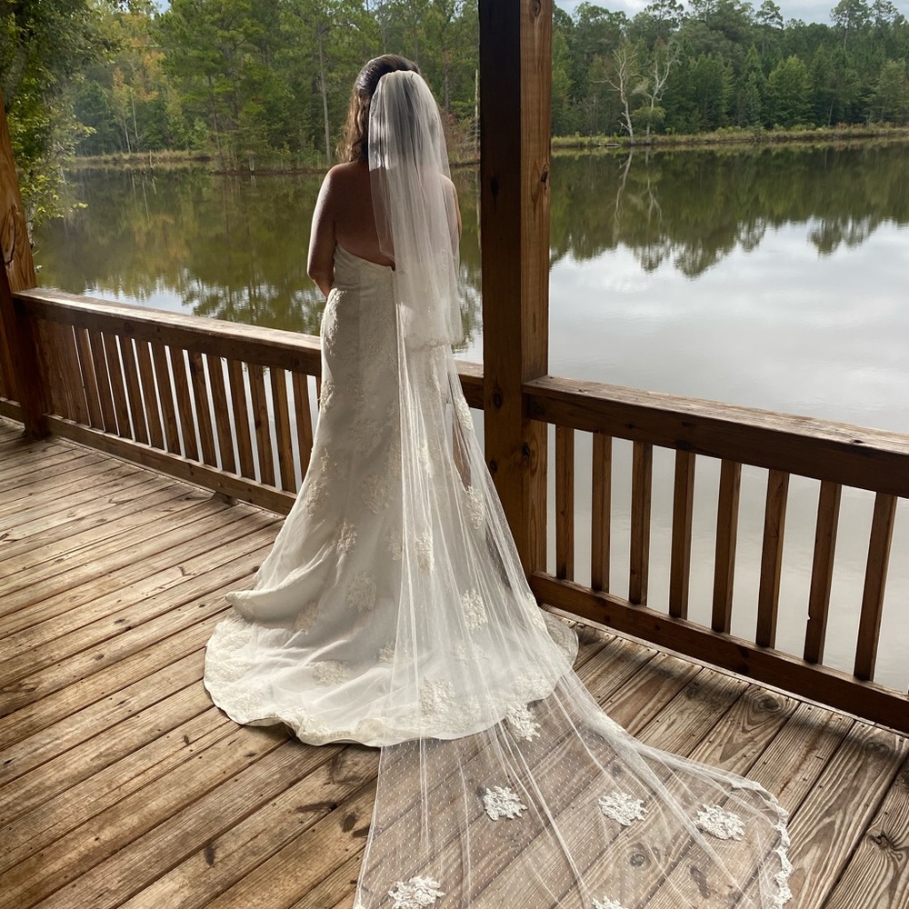Elegant White Lace Wedding Dress with Veil